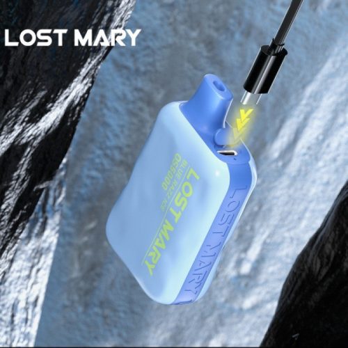 LostMaryMAIN02 800x800 1