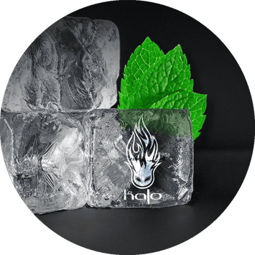 halo logo carved in ice 7b2b3233 2919 4eb9 8d9f 795cd83af5ce